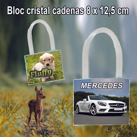 Bloc cristal à personnaliser avec photo, texte, logo rectangulaire 10 x 15 cm  KDO UNIQUE Béziers