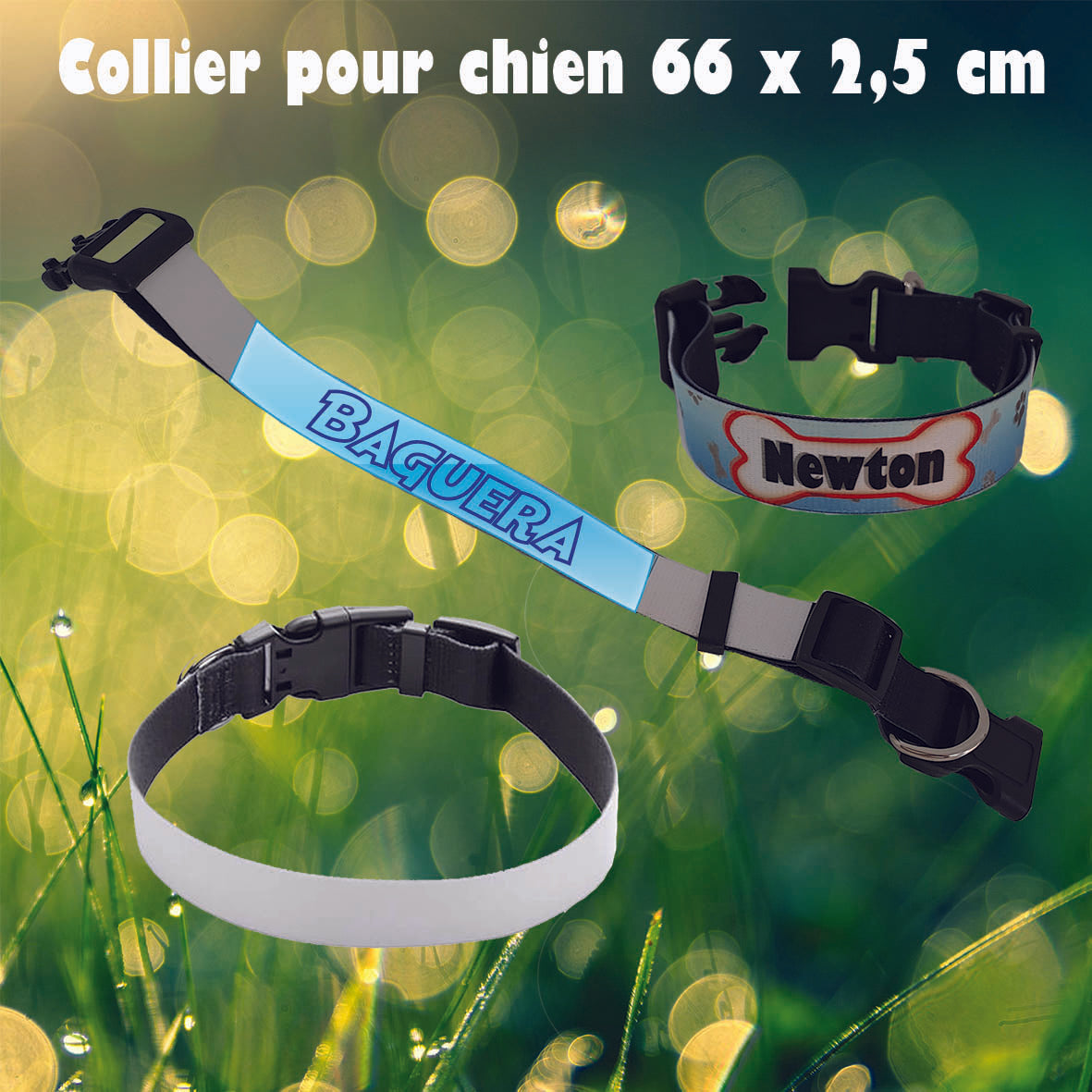 Collier personnalisé pour grand chien KDO UNIQUE